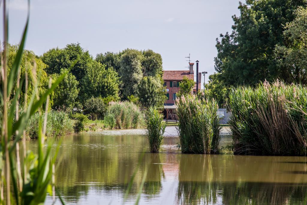 Agriturismo Ca' Alleata กาออร์เล ภายนอก รูปภาพ